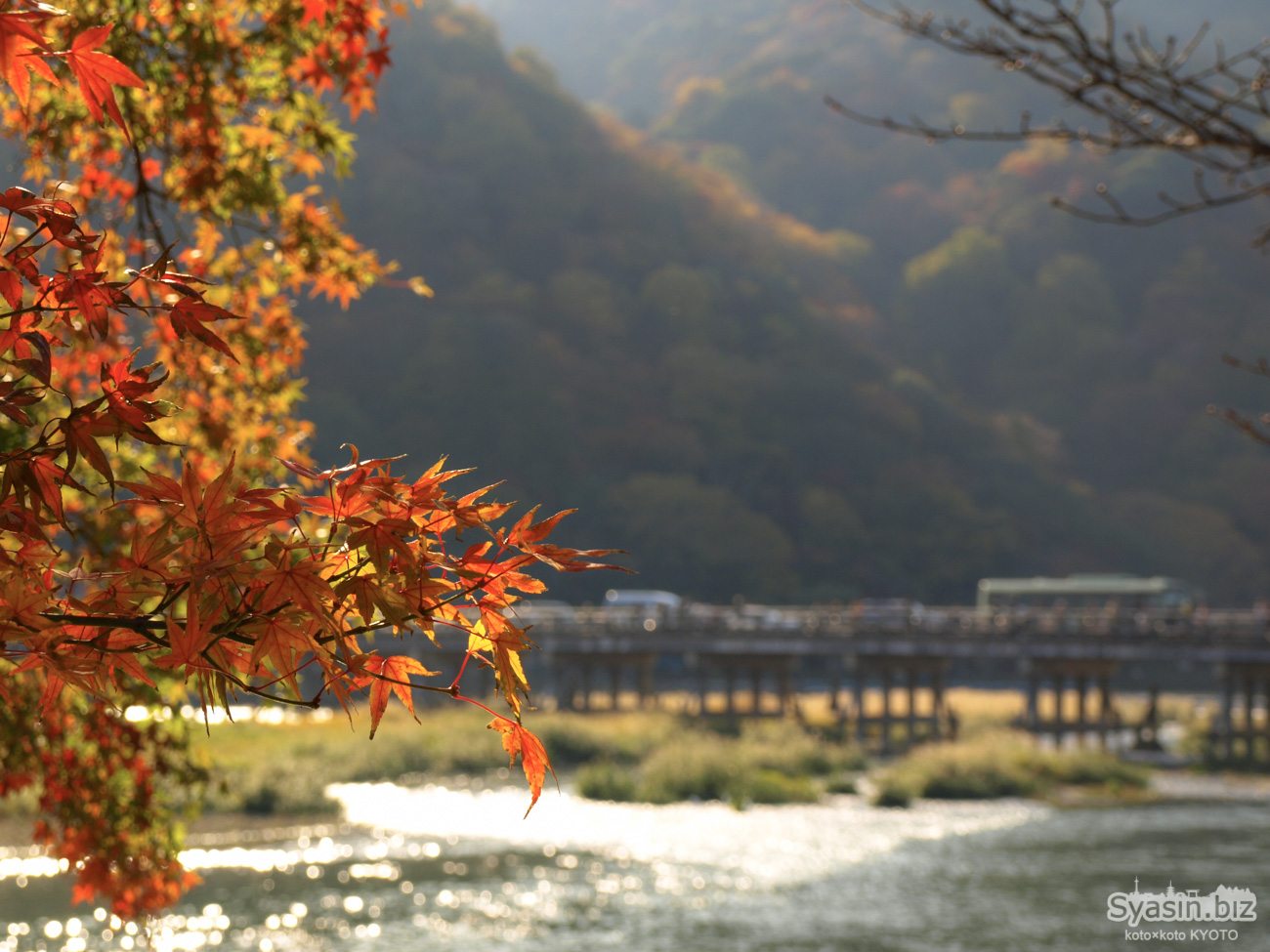 嵐山の紅葉情報 – 京都市右京区