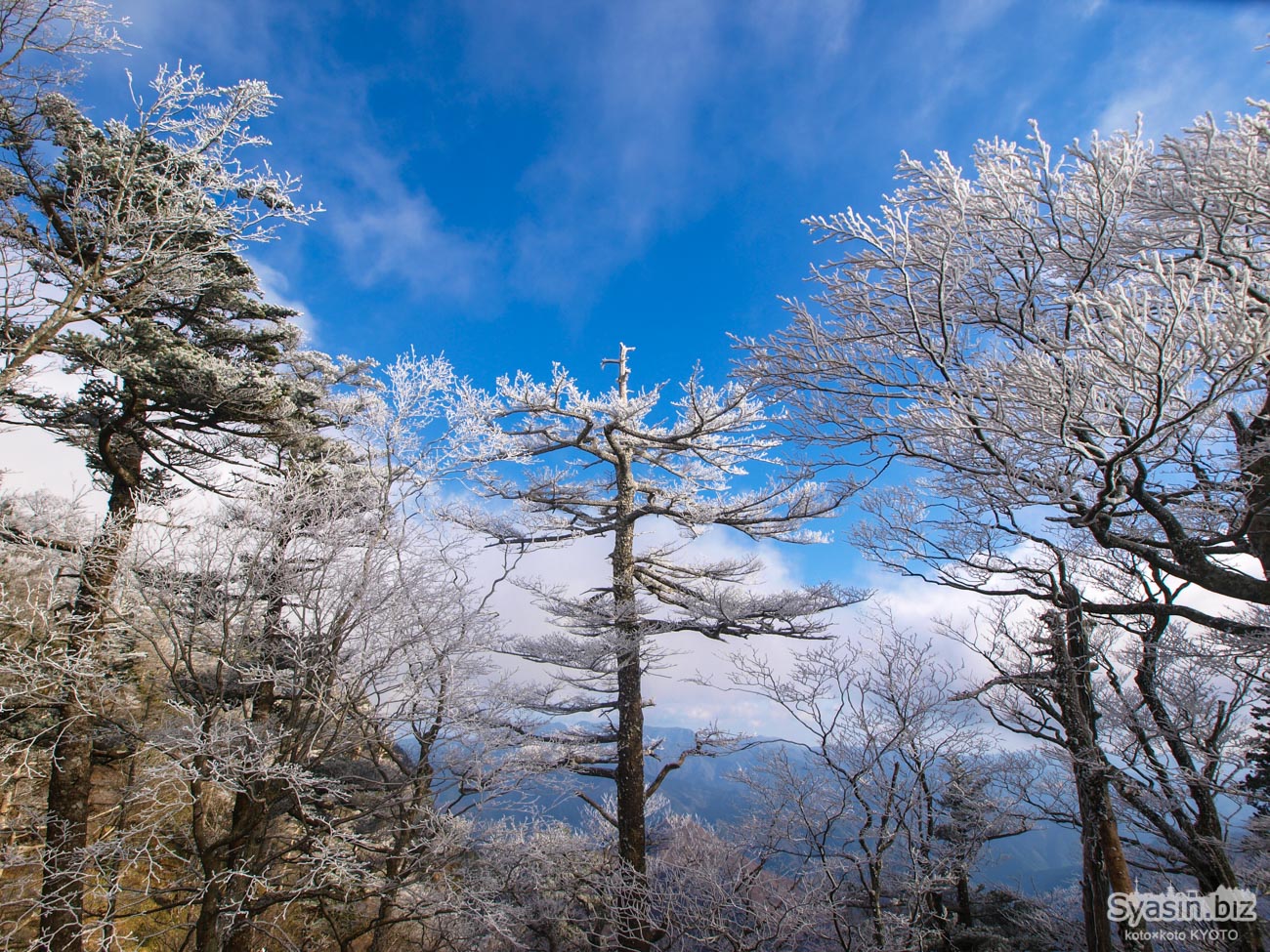 大普賢岳・周回コース – 樹氷と絶景を眺める最高の大峰登山