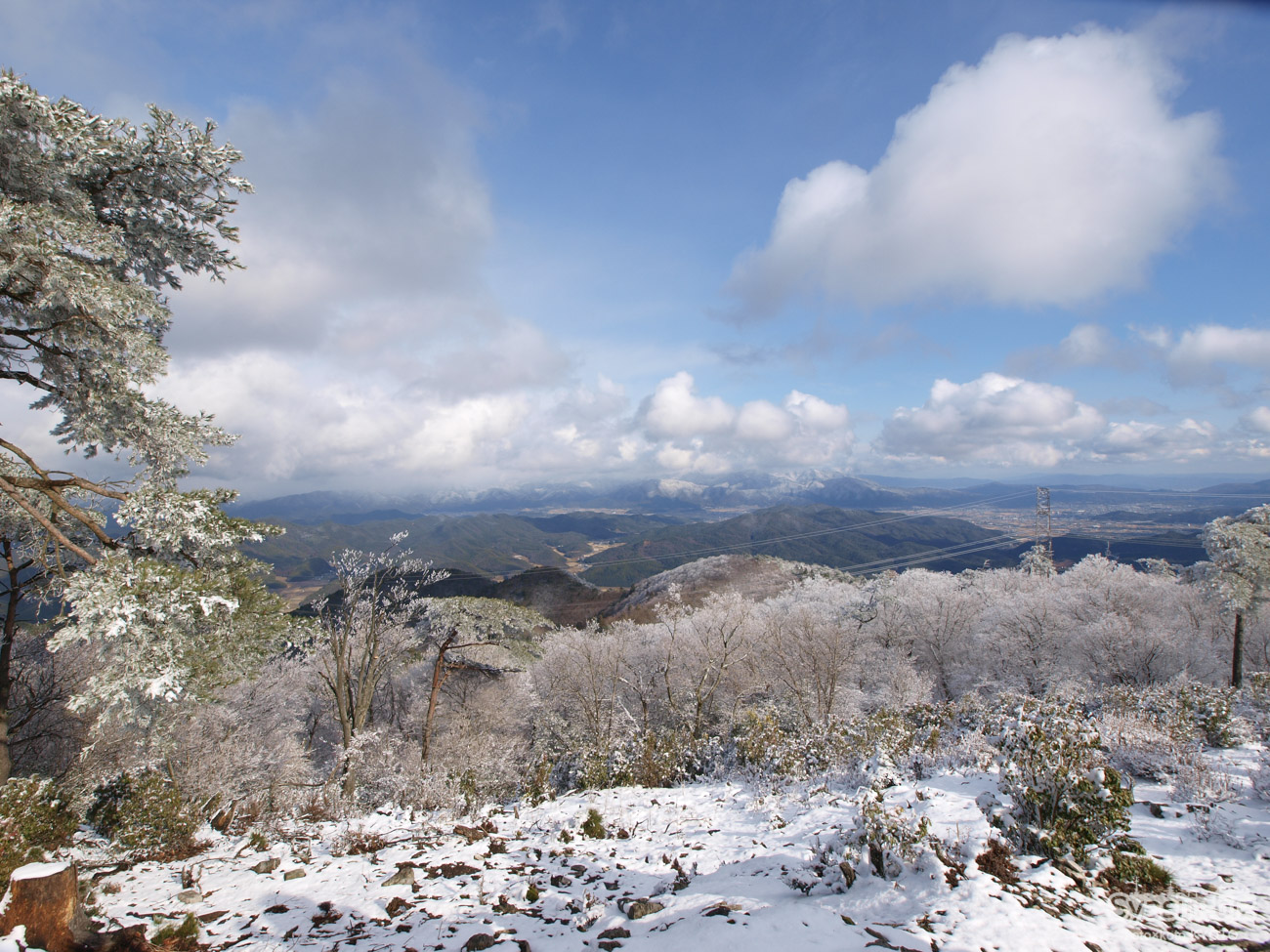 大阪の山で樹氷を見よう！積雪の半国山