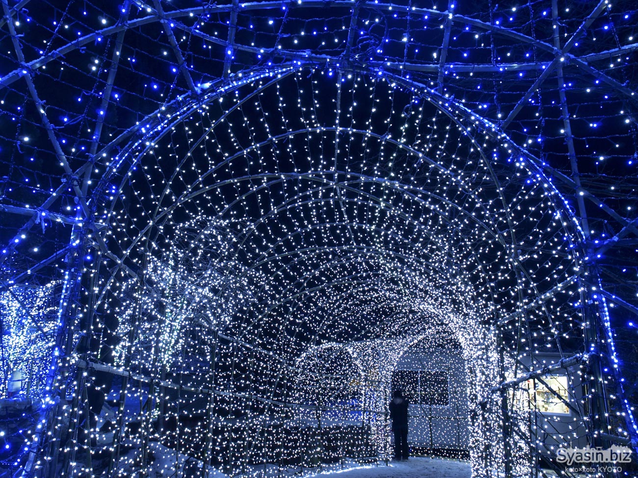 冬ほたるの光のトンネル