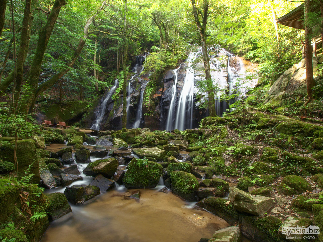 宮津・金引の滝 – 京都で唯一滝百選に選ばれた人気避暑地