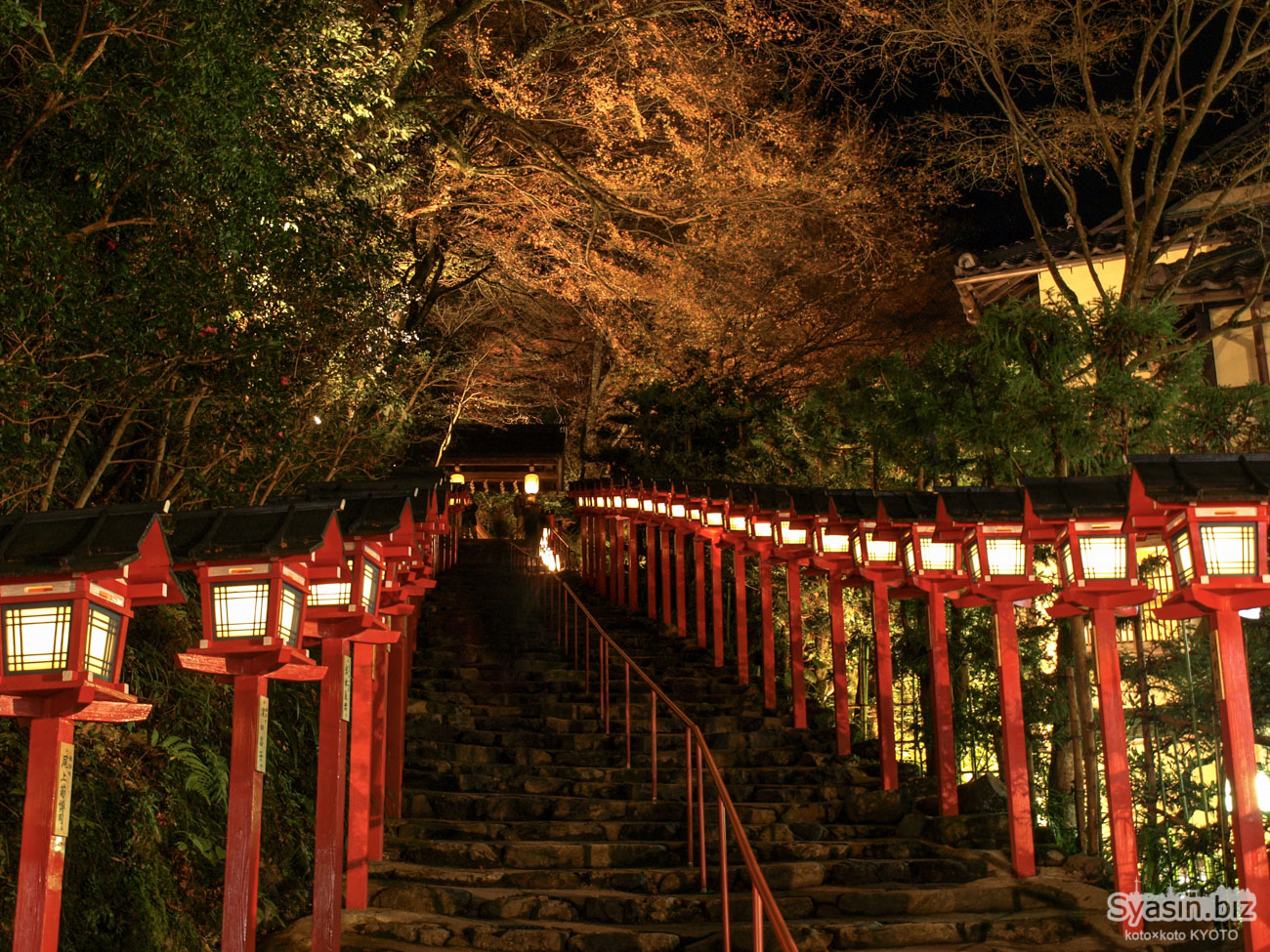 貴船神社 ライトアップ 夜景