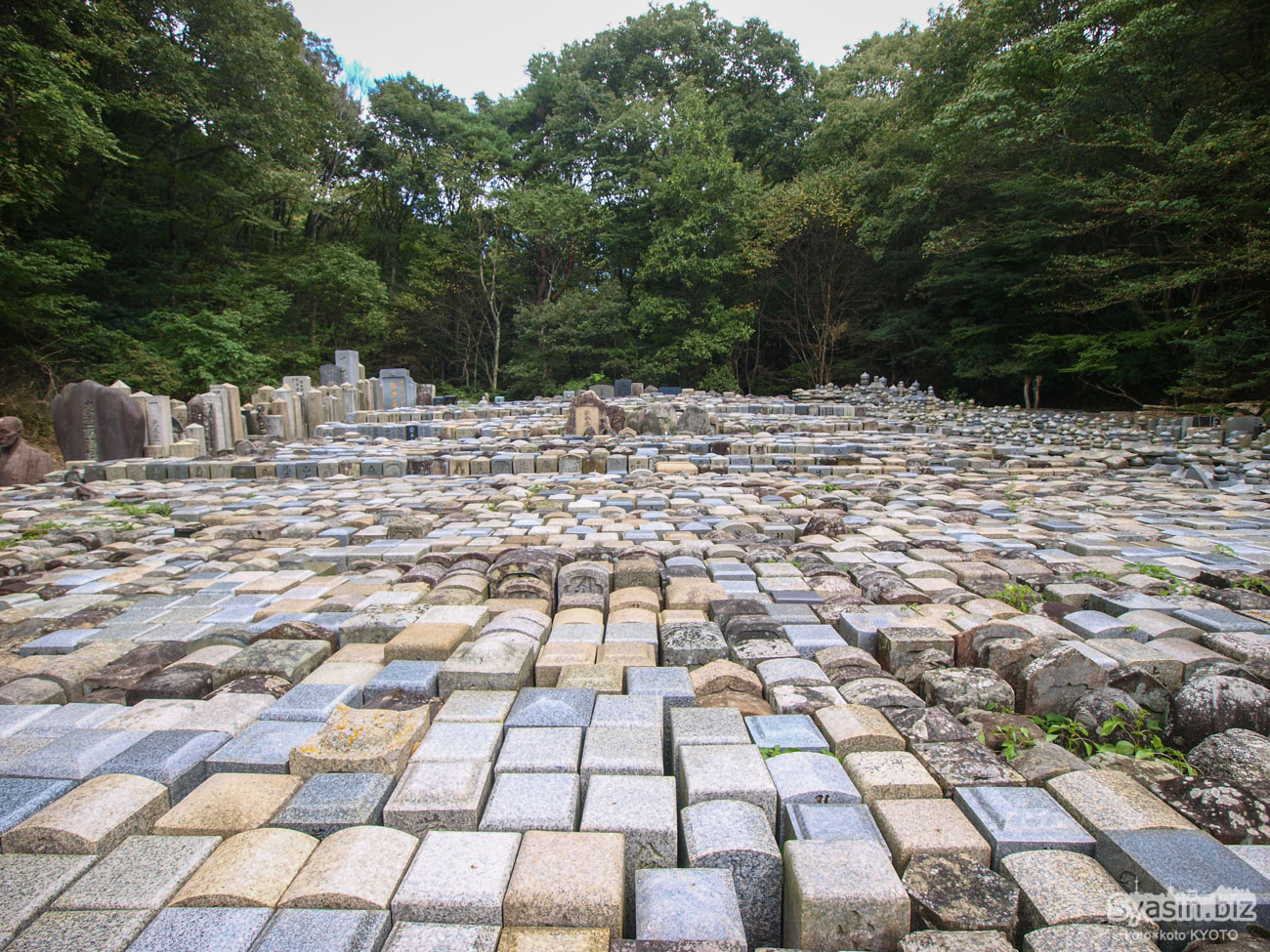 京都・金蔵寺の奥地にある謎のお墓の墓場