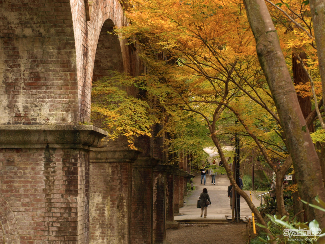 南禅寺の紅葉情報 – 京都市左京区