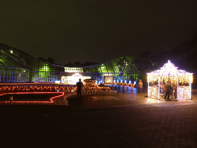 京都府立植物園 広場
