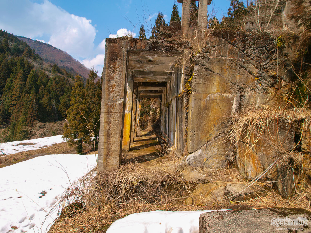 土倉鉱山跡 – 草木に沈む神秘的な選鉱場コンクリート廃墟